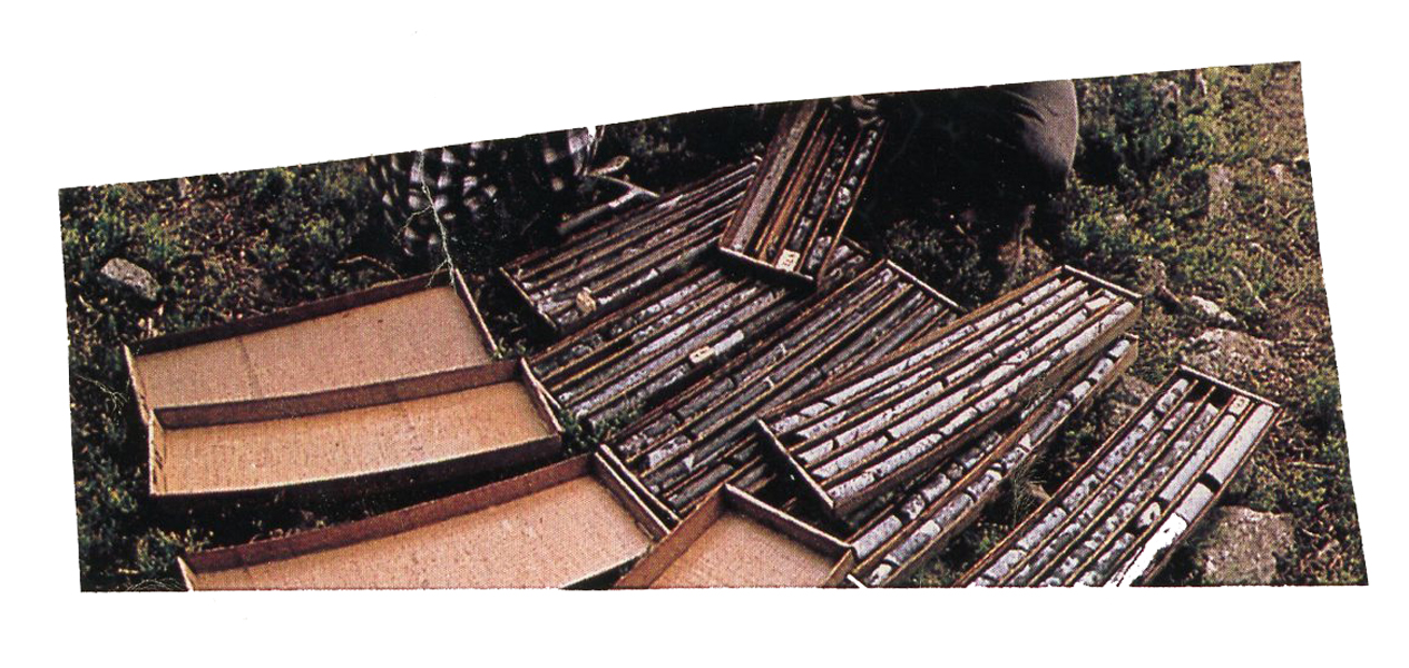 core samples.jpg