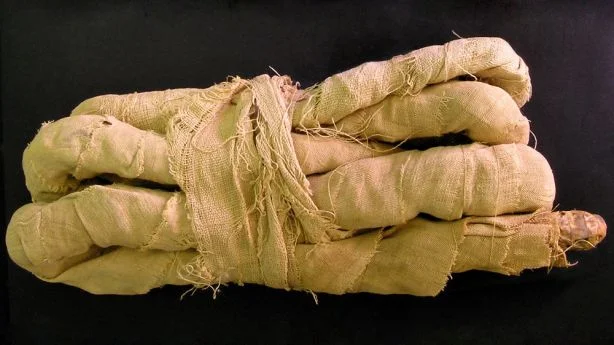 mummified-snake_0.jpg