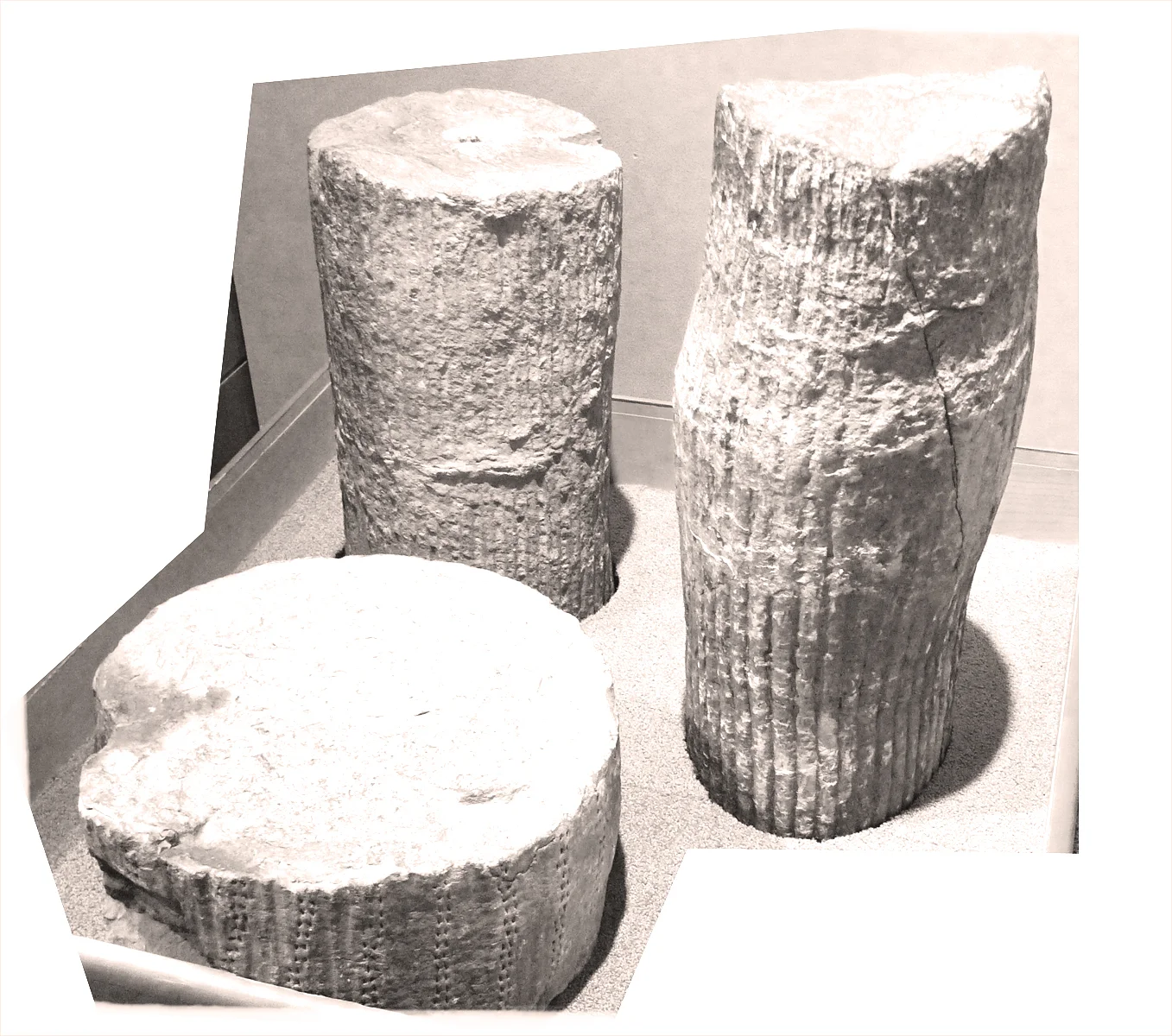 museum of science forms.jpg