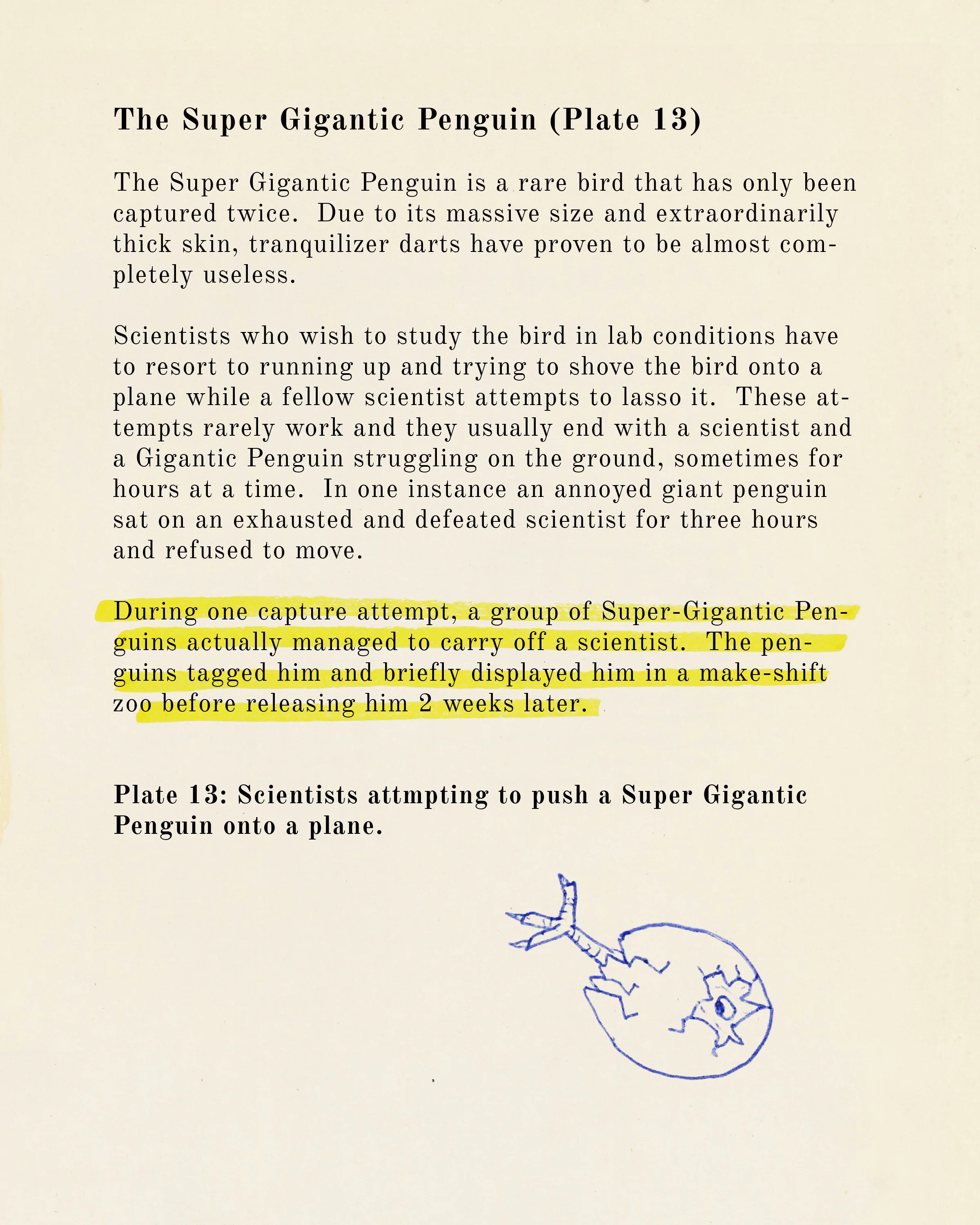 p2.jpg