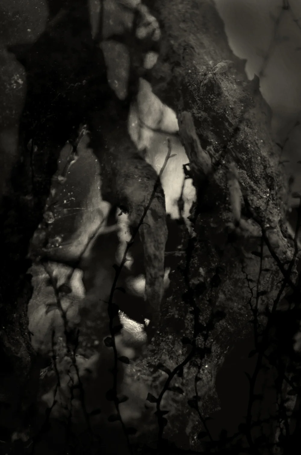 Habitat, 2016