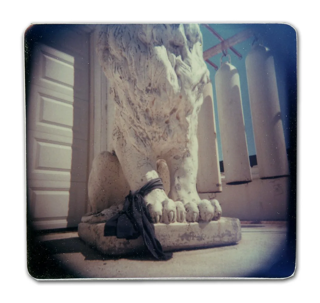 Lion (Unique polaroid print mounted on cardstock)
