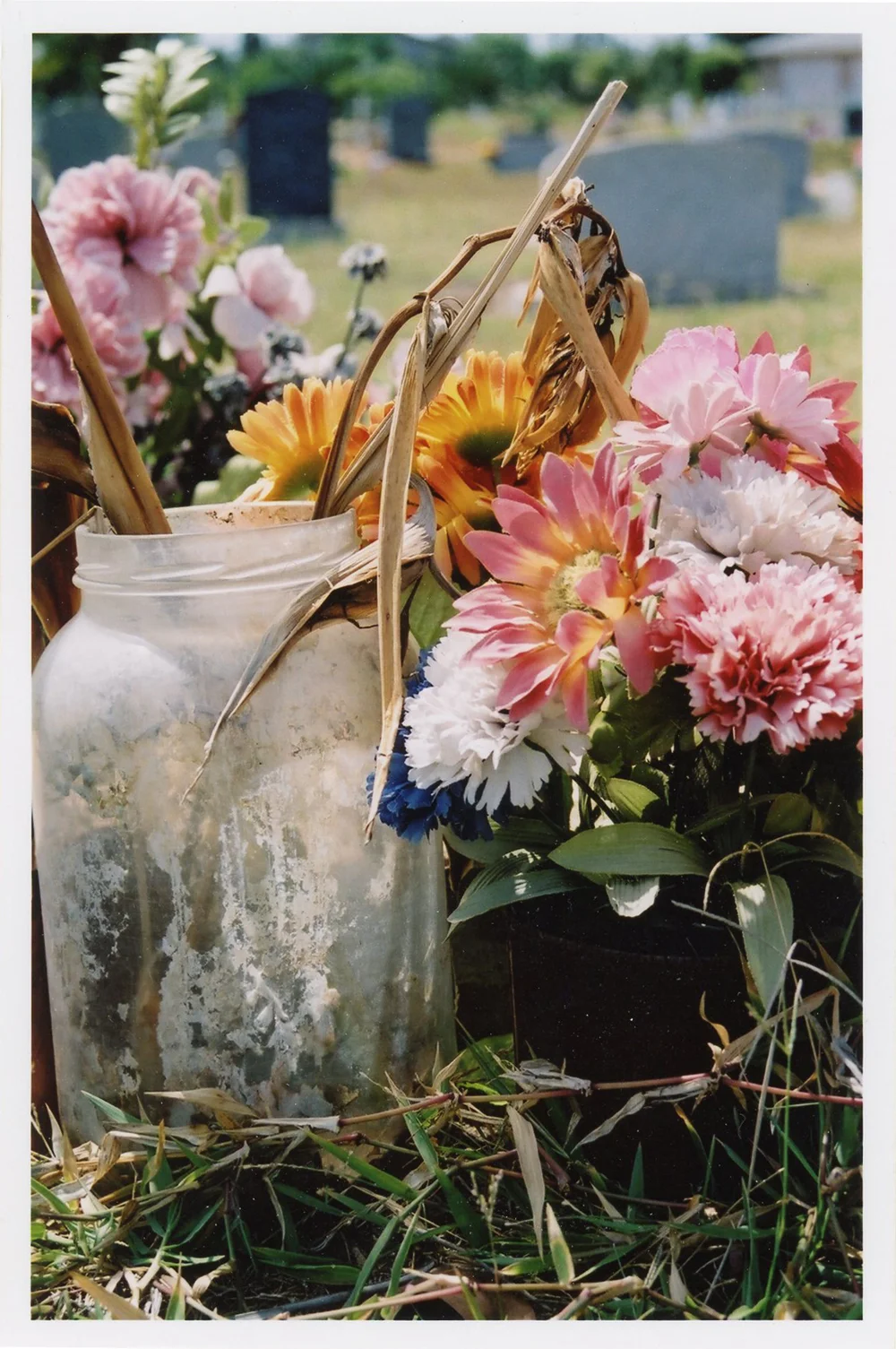 Grave, 2003