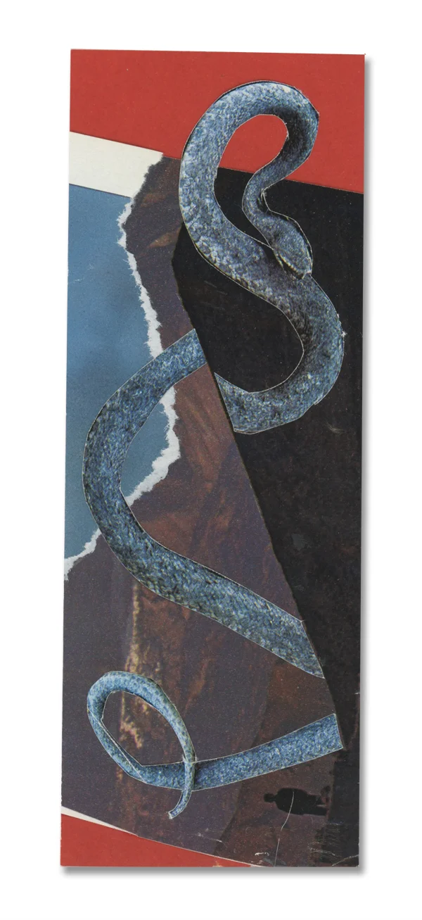 Snake Cut by a Lawnmower Collage, 2013