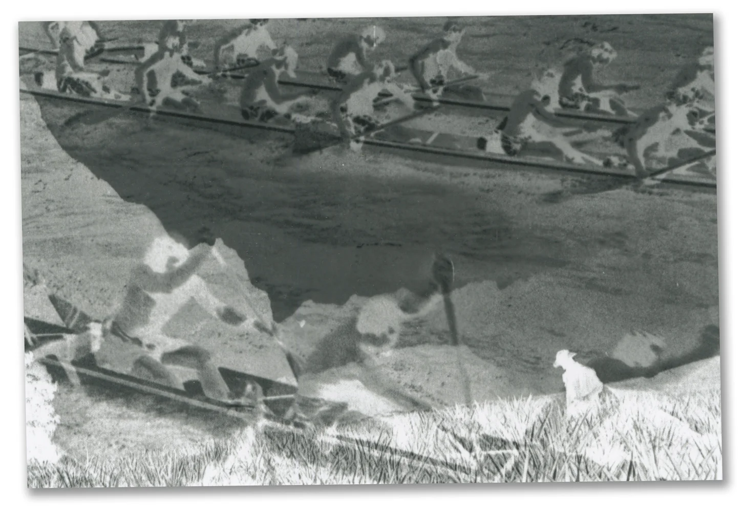 Photograph with Farmer Postcard, 2012