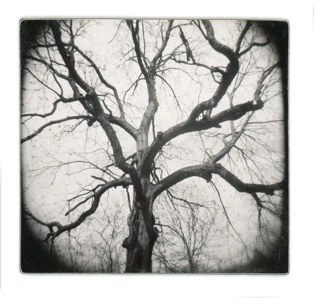 Untitled (Unique Polaroid print mounted on cardstock)