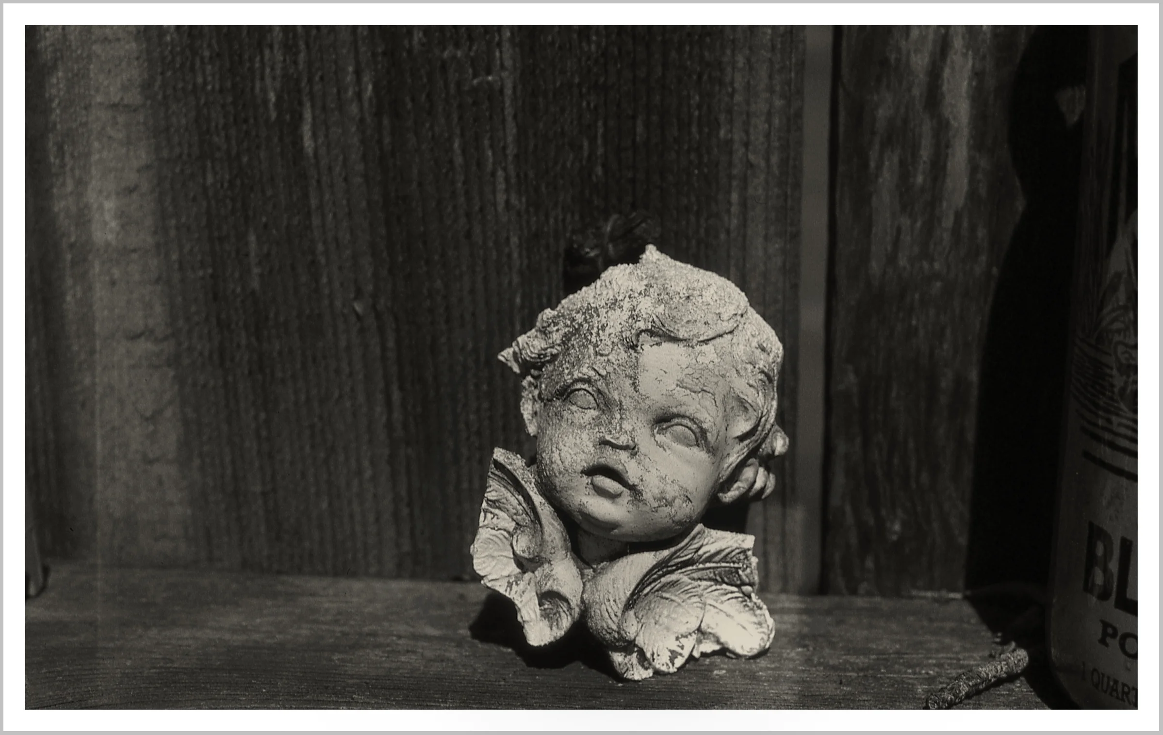 Still Life, 2018