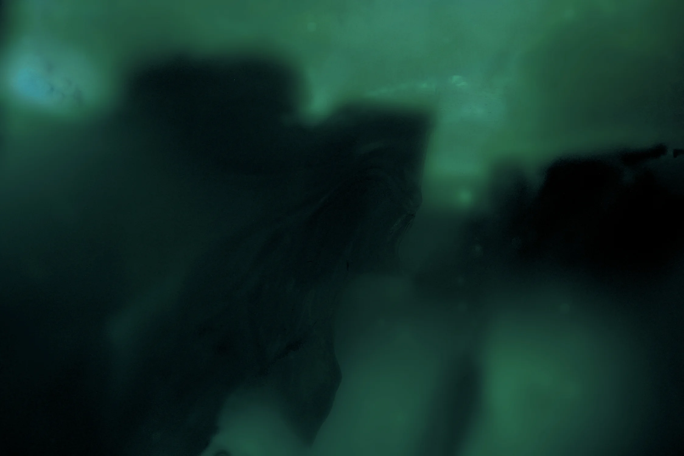 7. Underwater/Ice Forms, 2019