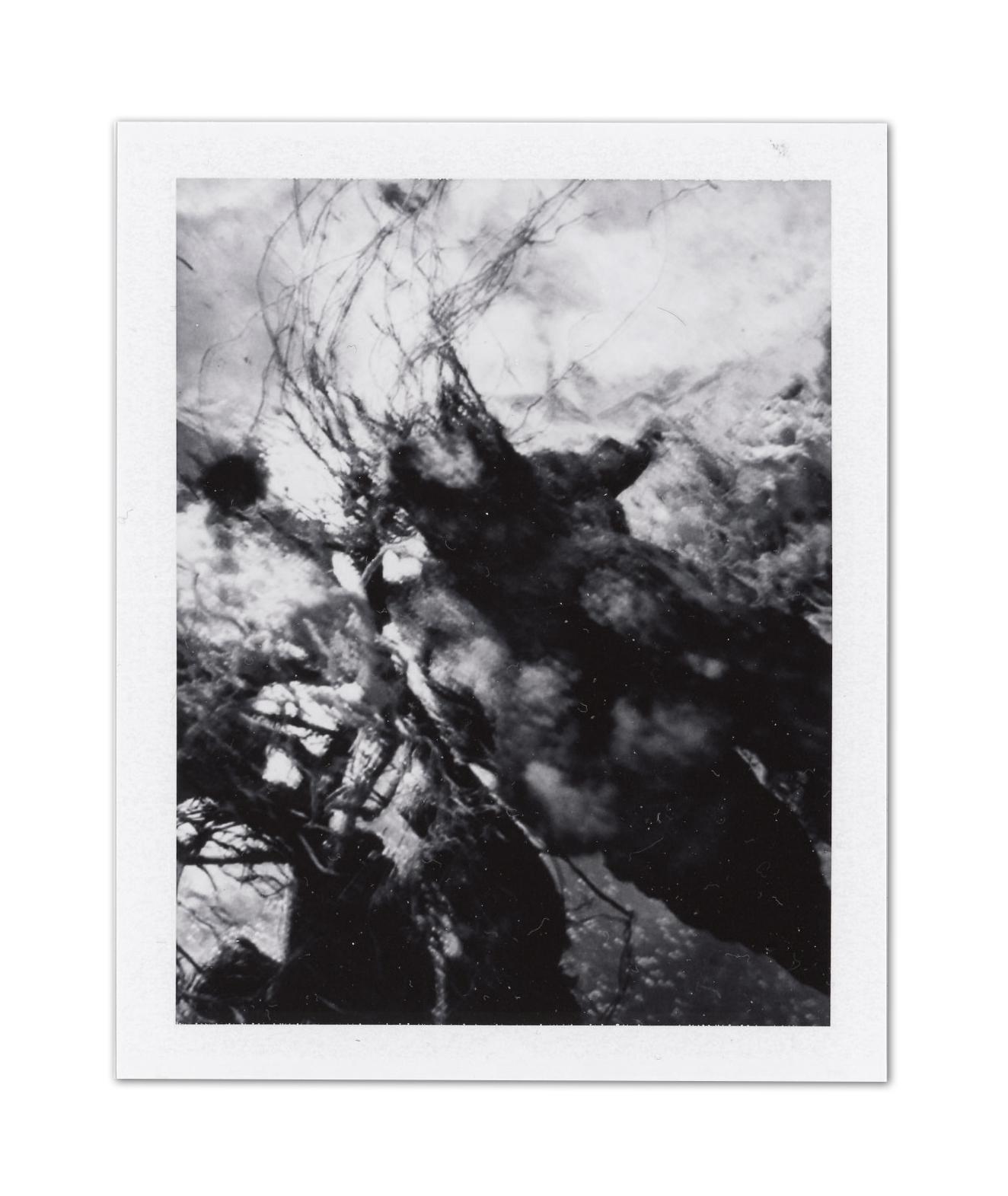 Instant Print, 2018