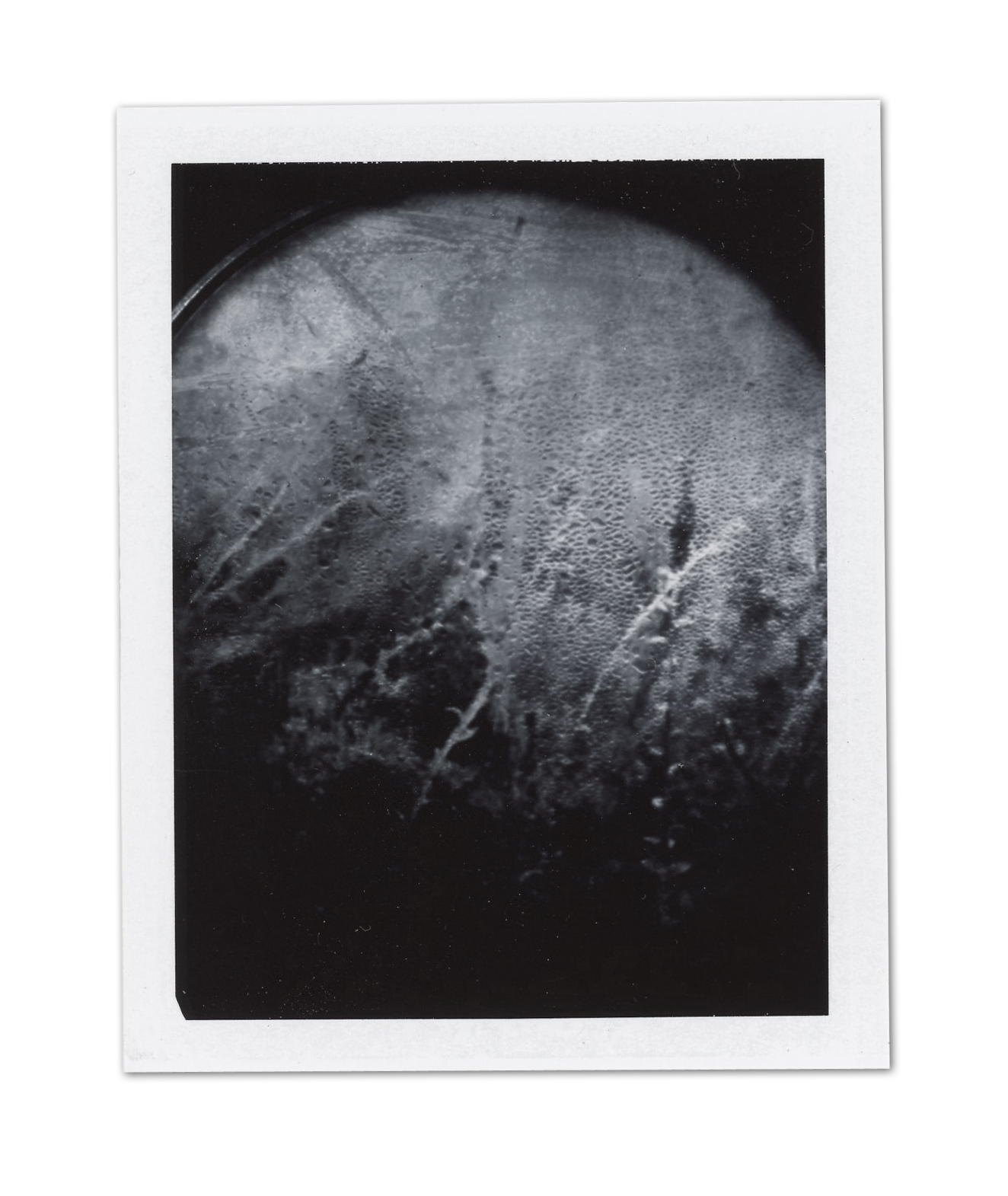 Instant Print, 2018