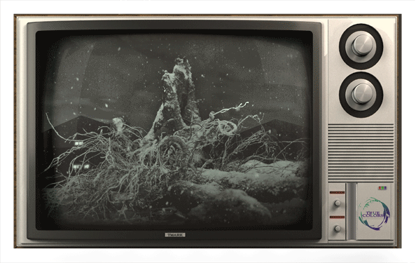 Thunderstorm, Snow (GIF), 2019