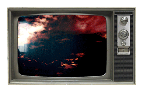 Signal (GIF), 2019