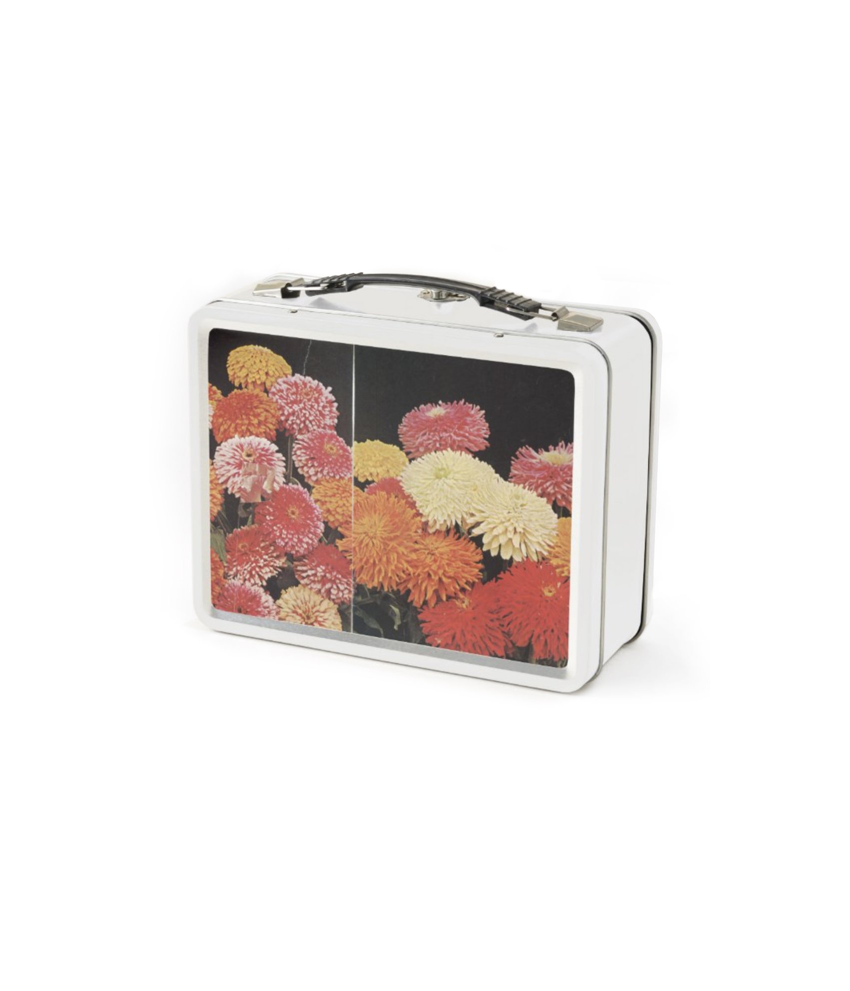 Lunchbox Multiple (Front), 2022 (Online-custom lunchbox)