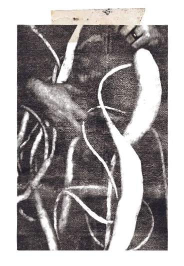 Untitled, n.d (xerox print)