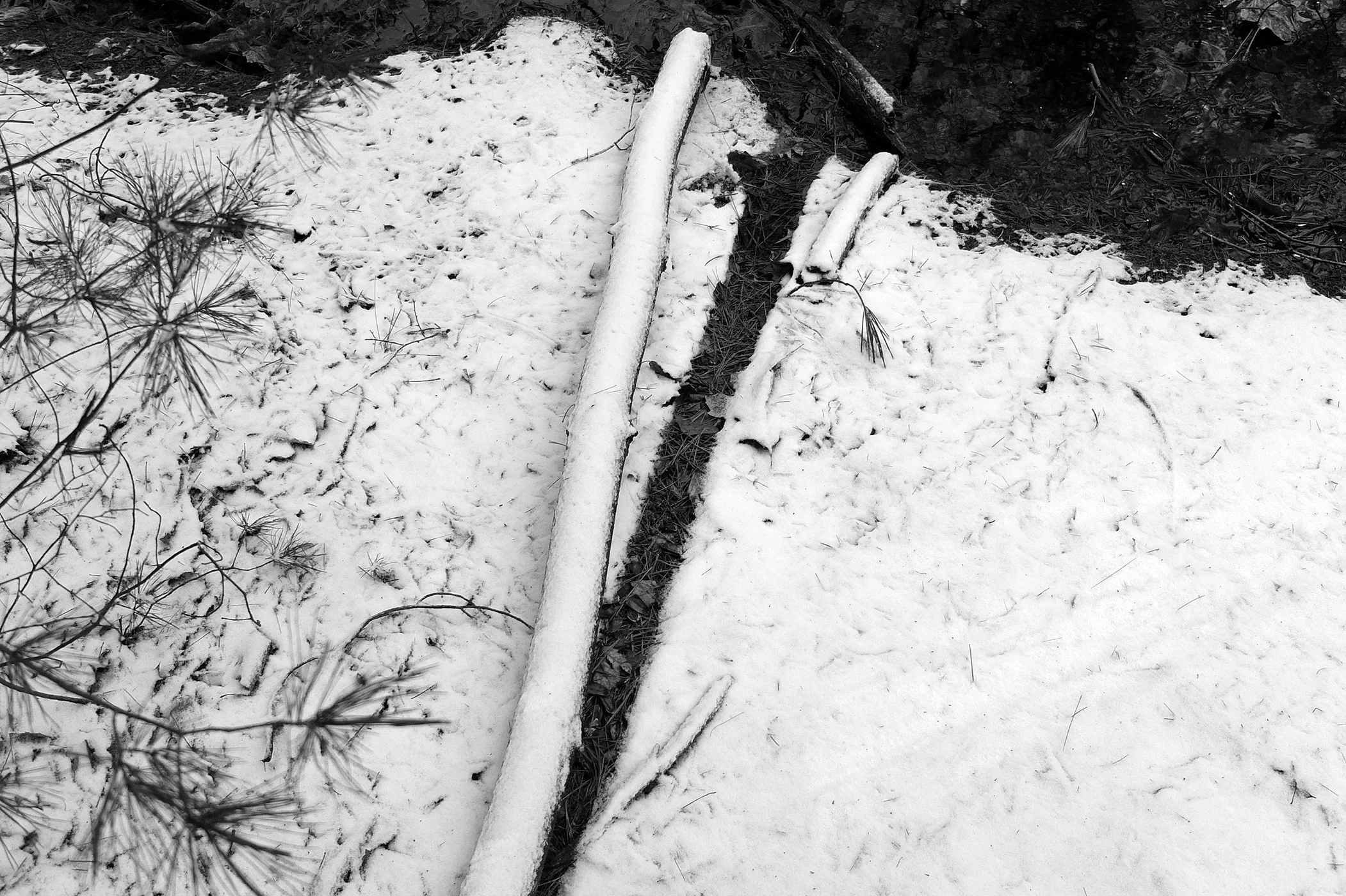 Snow and Branch, 2012