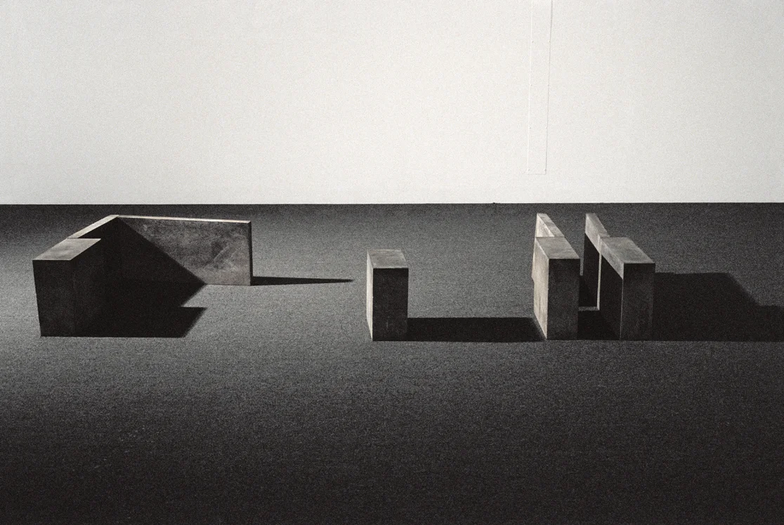 Ombres portées (1981) Ciment, 42.5, 133 x 333 cm, collection du Musée d'art contemporain de Montréal. photo : Richard-Max Tremblay
