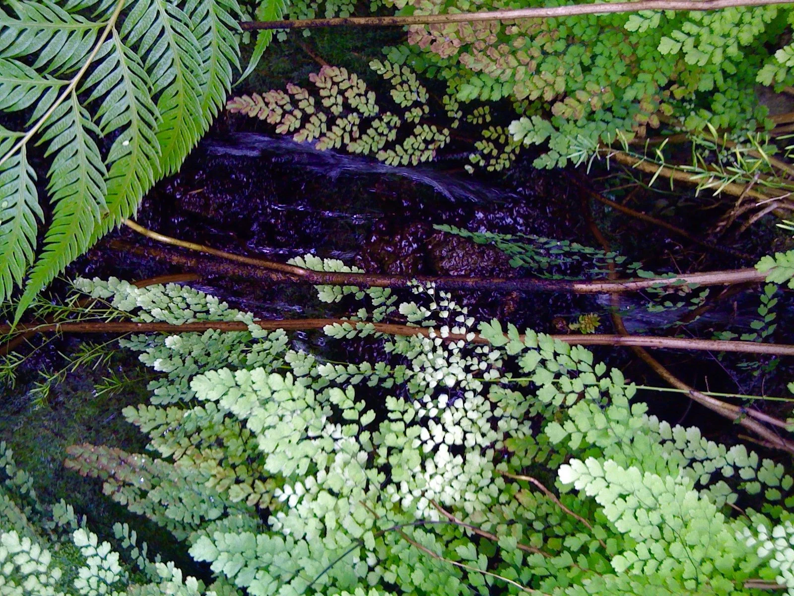 Aveda front fullsizeoutput_124c.jpeg