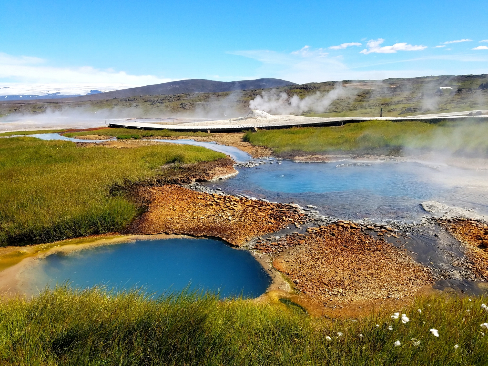 Hot spring in Hveravellir, Iceland, a region considered to be an analog for early Mars. Photo Credit: J.R. Skok