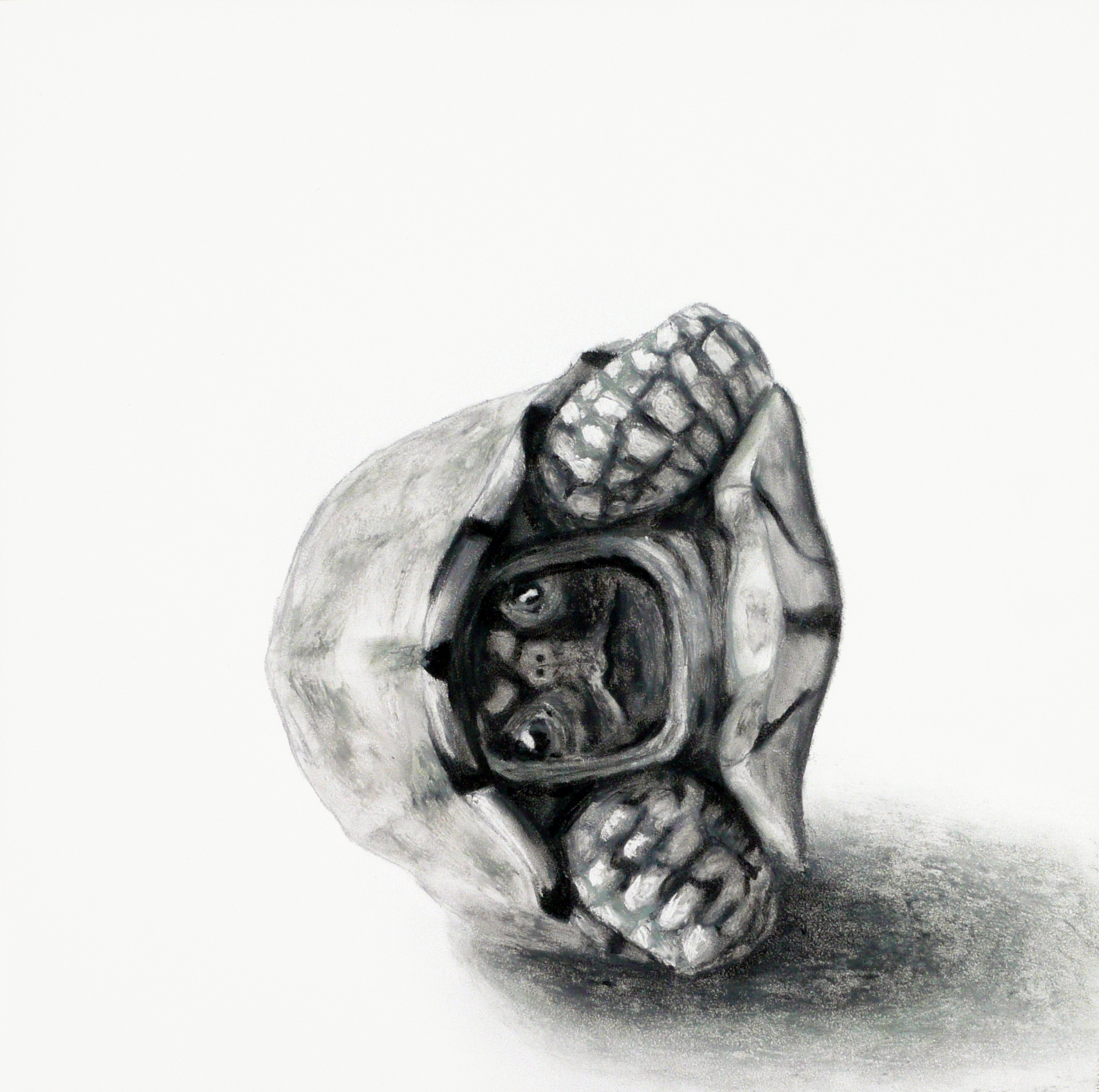 Equilibrium, by Shelby Prindaville.