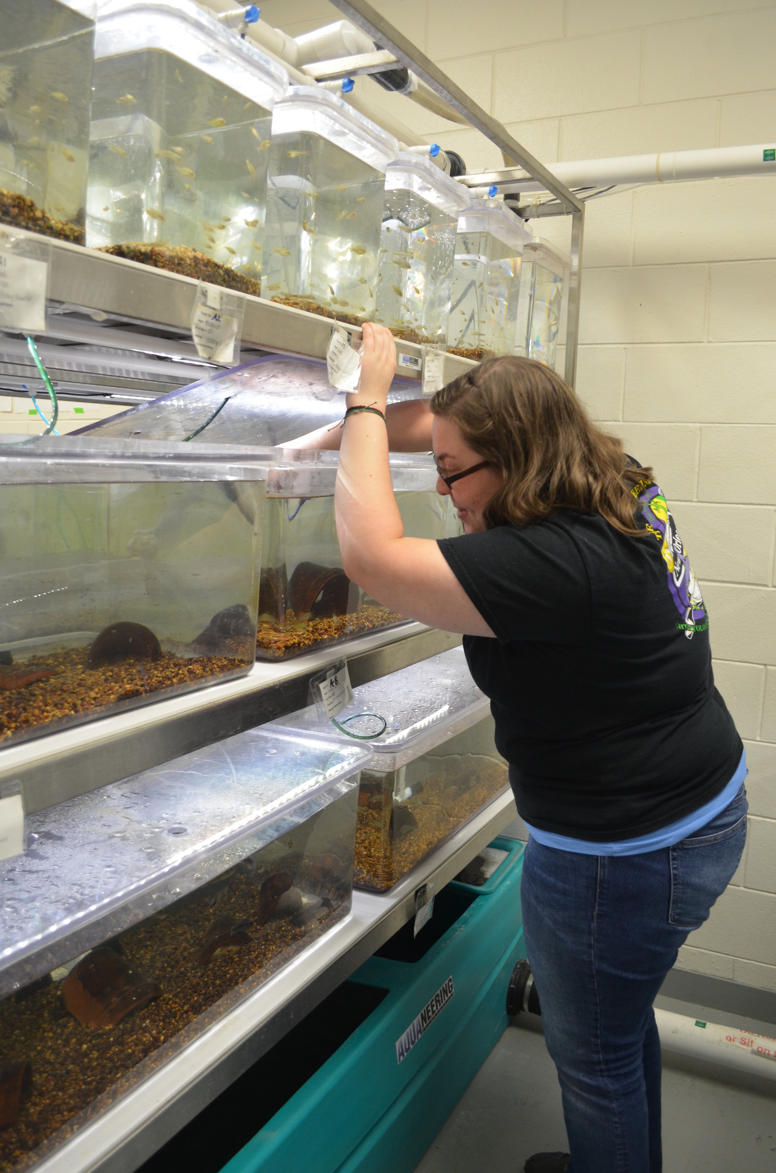 In the fish room!