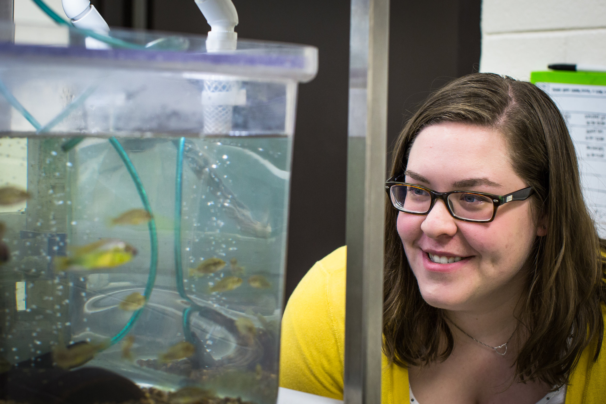 In the Maruska Fish Lab