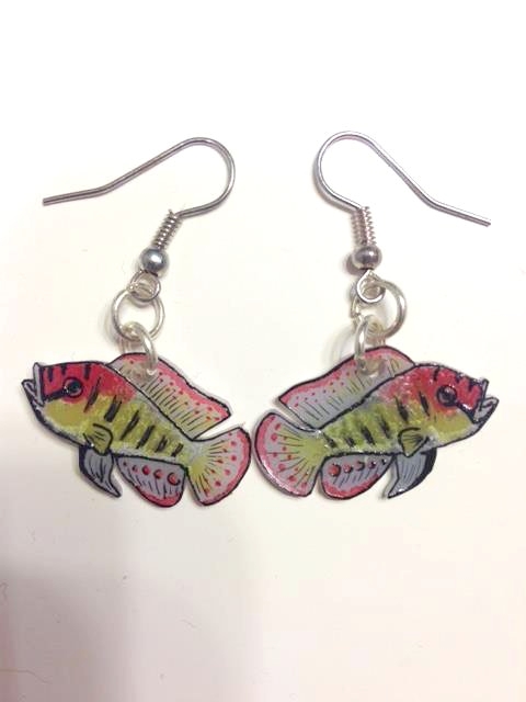 Fish earrings!