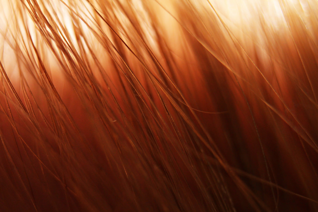 Hair. Photo by Callum Hampson, Flickr.com