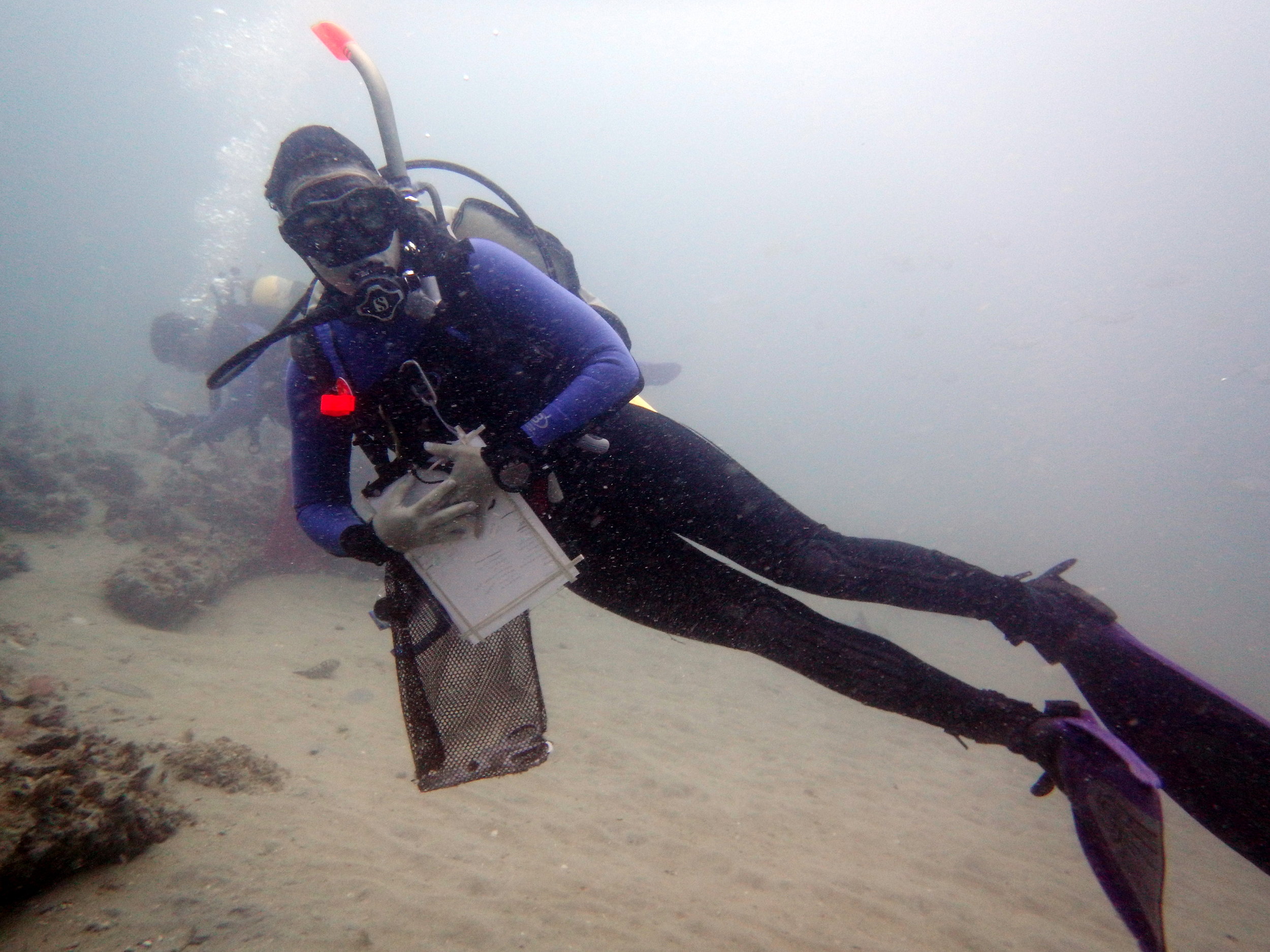 Photo of Alicia hanging out under water. Credit: Brianne Varnerin.