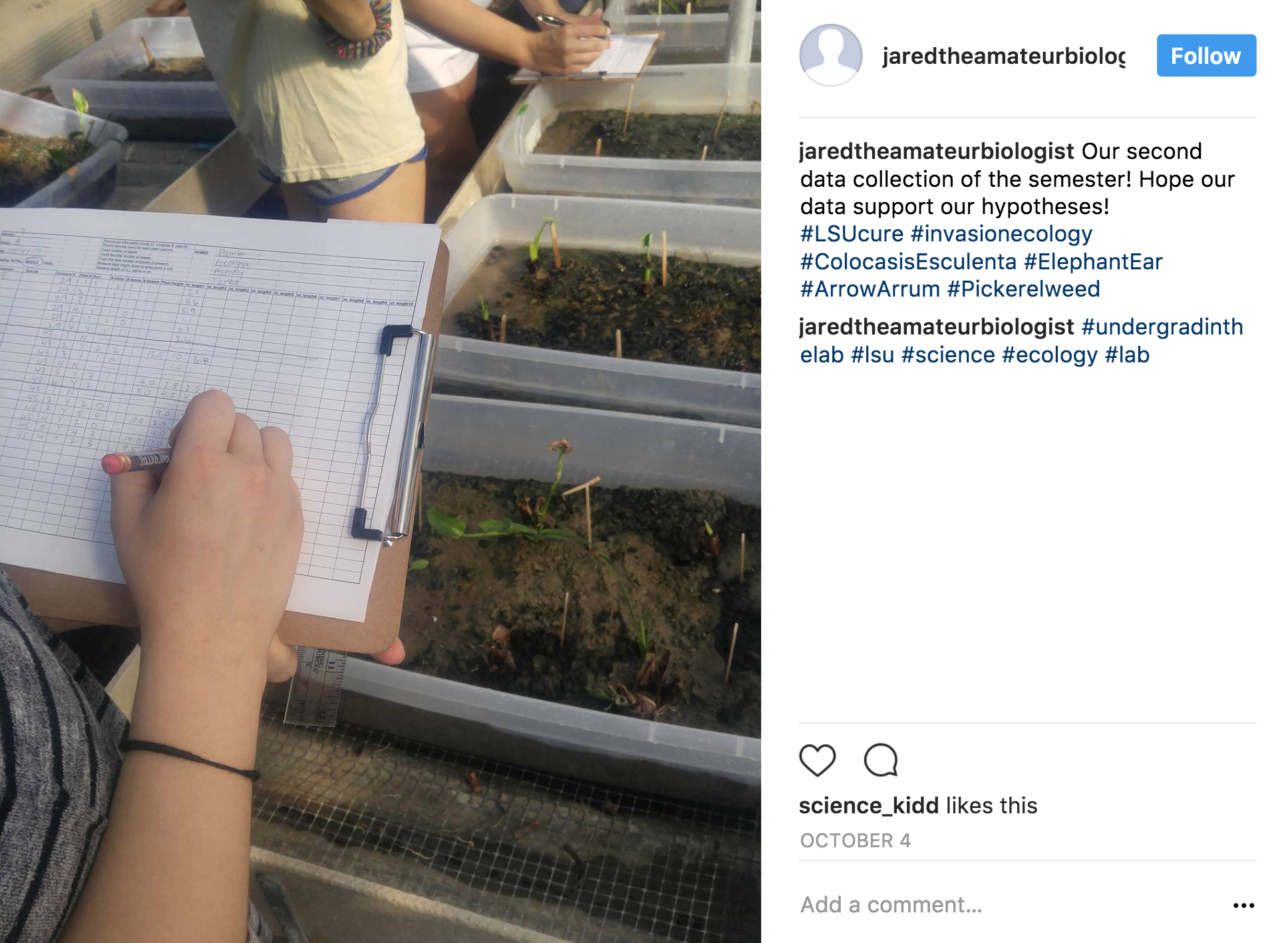 An LSU CURE student's Instagram post.