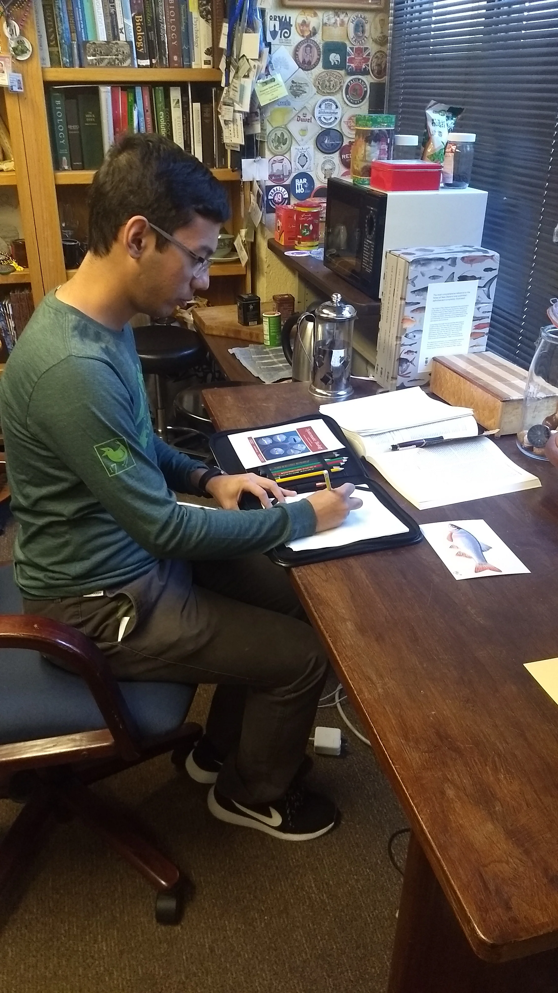 Subir Shakya working on cover art for a paper on Ostariophysan fishes.