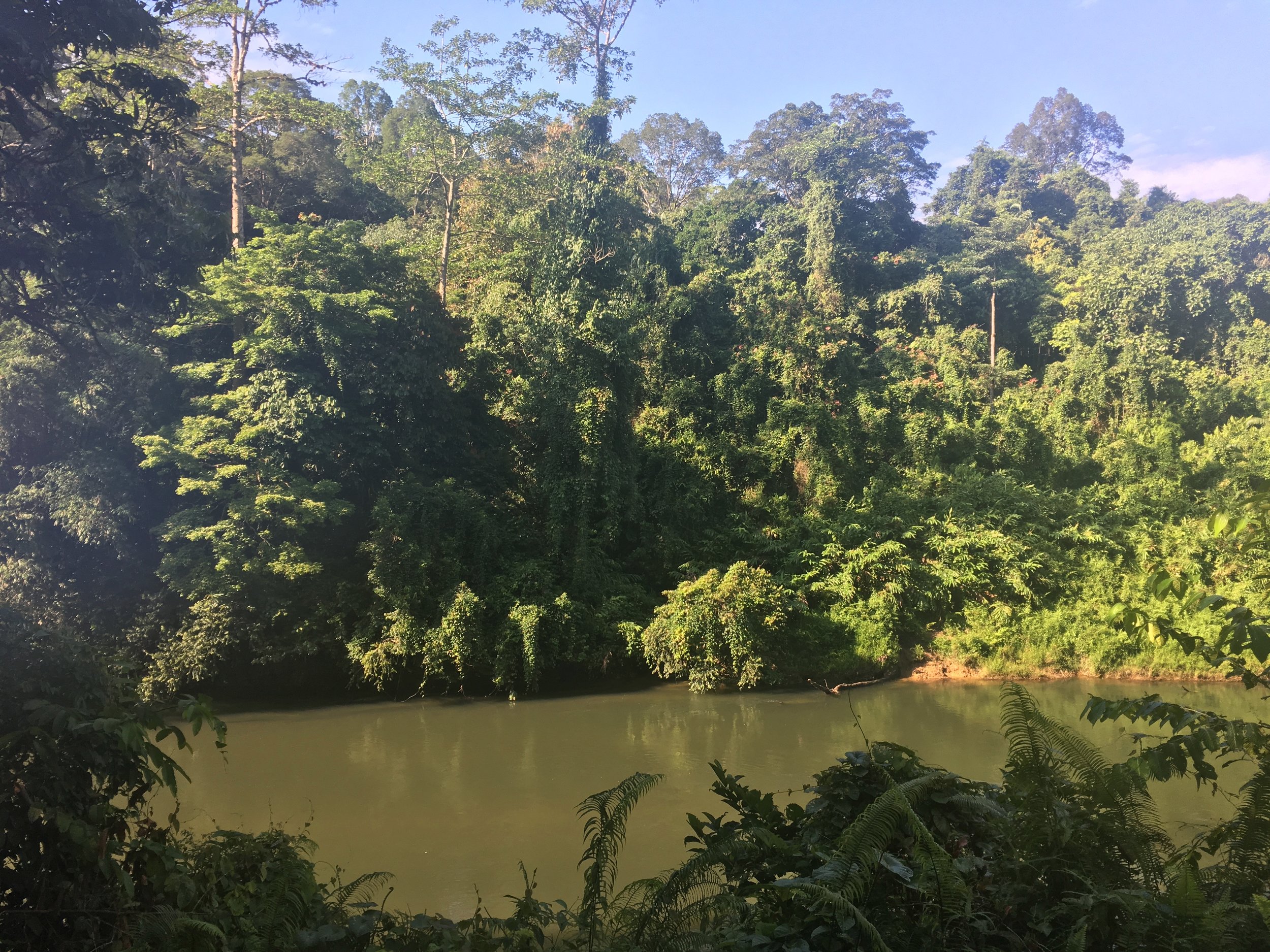 Lanjak Entimau Wildlife Sanctuary in Sarawak, Borneo.