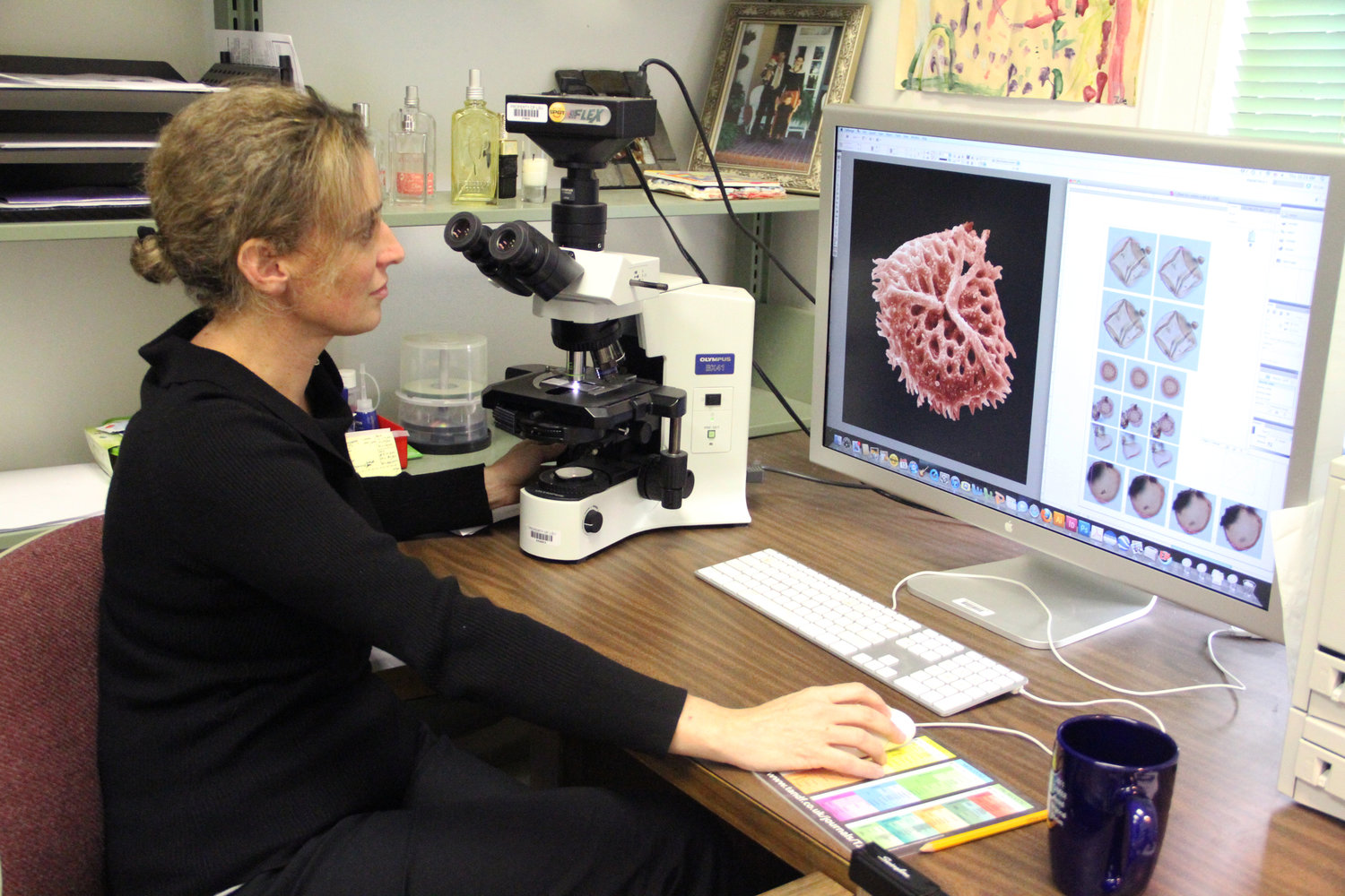 Sophie Warny analyzes pollen and spores in her lab at LSU. Image credit: LSU College of Science.
