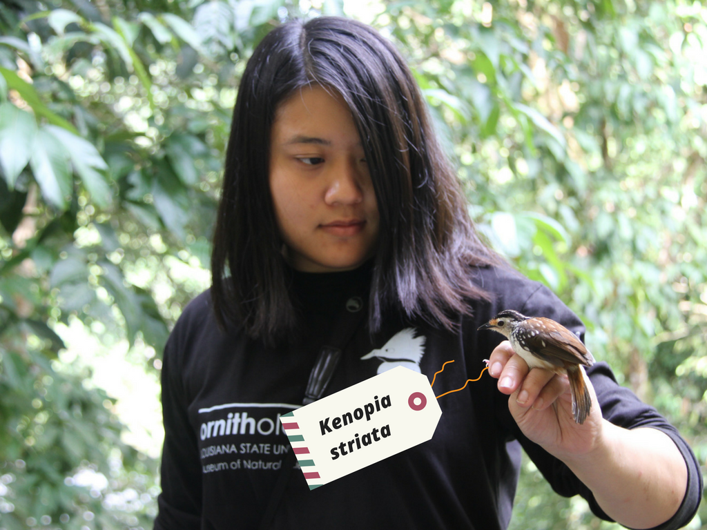 Vivien Chua in Borneo. Credit: Lawrence Insol.