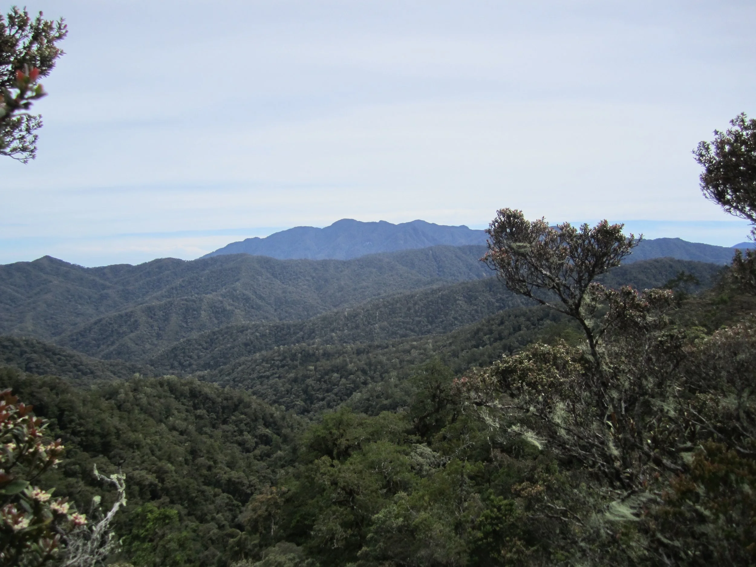 Quarles Range of the island of Sulawesi in Indonesia. Credit: Jake Esselstyn.