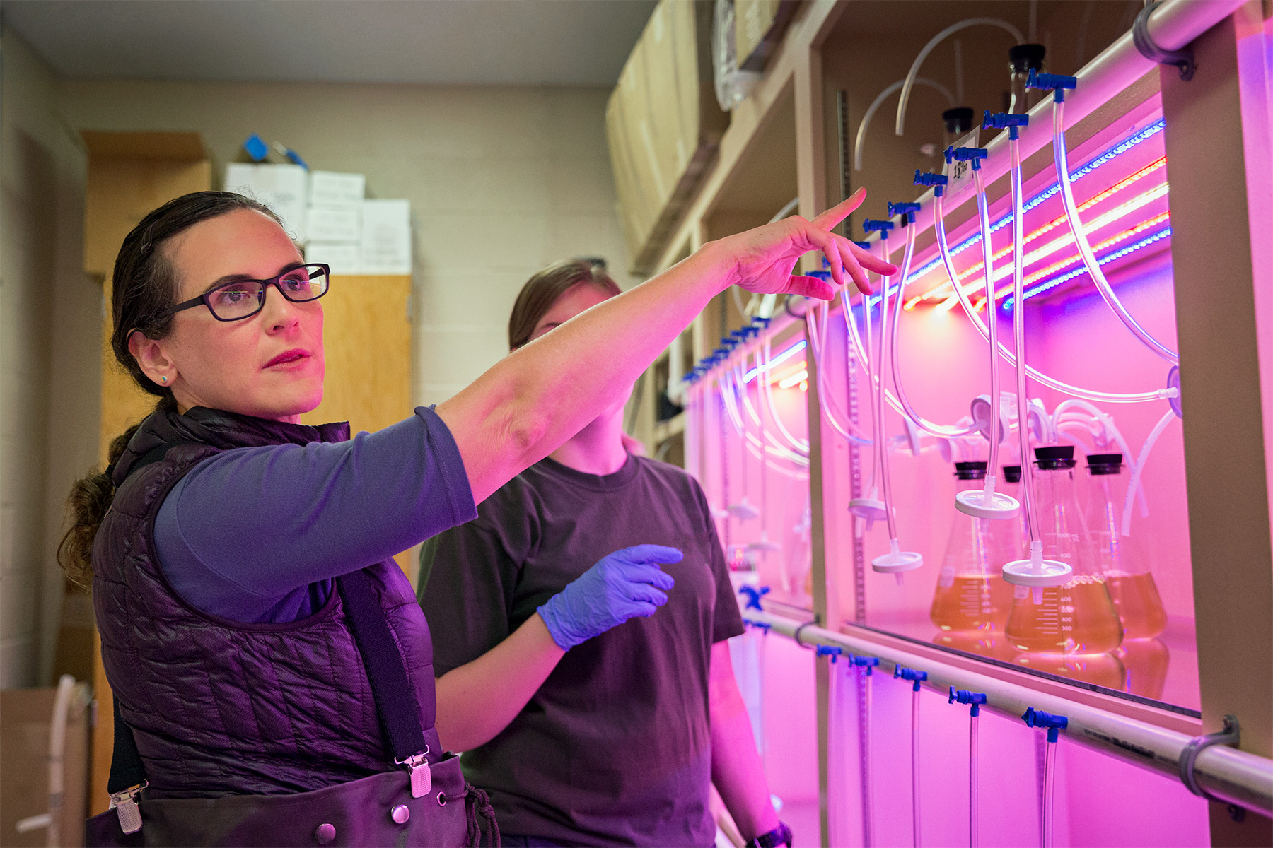 LSU biologist Morgan Kelly conducts research at an oyster hatchery in Grand Isle, LA. Photo Credit: Cody Willhite, LSU.