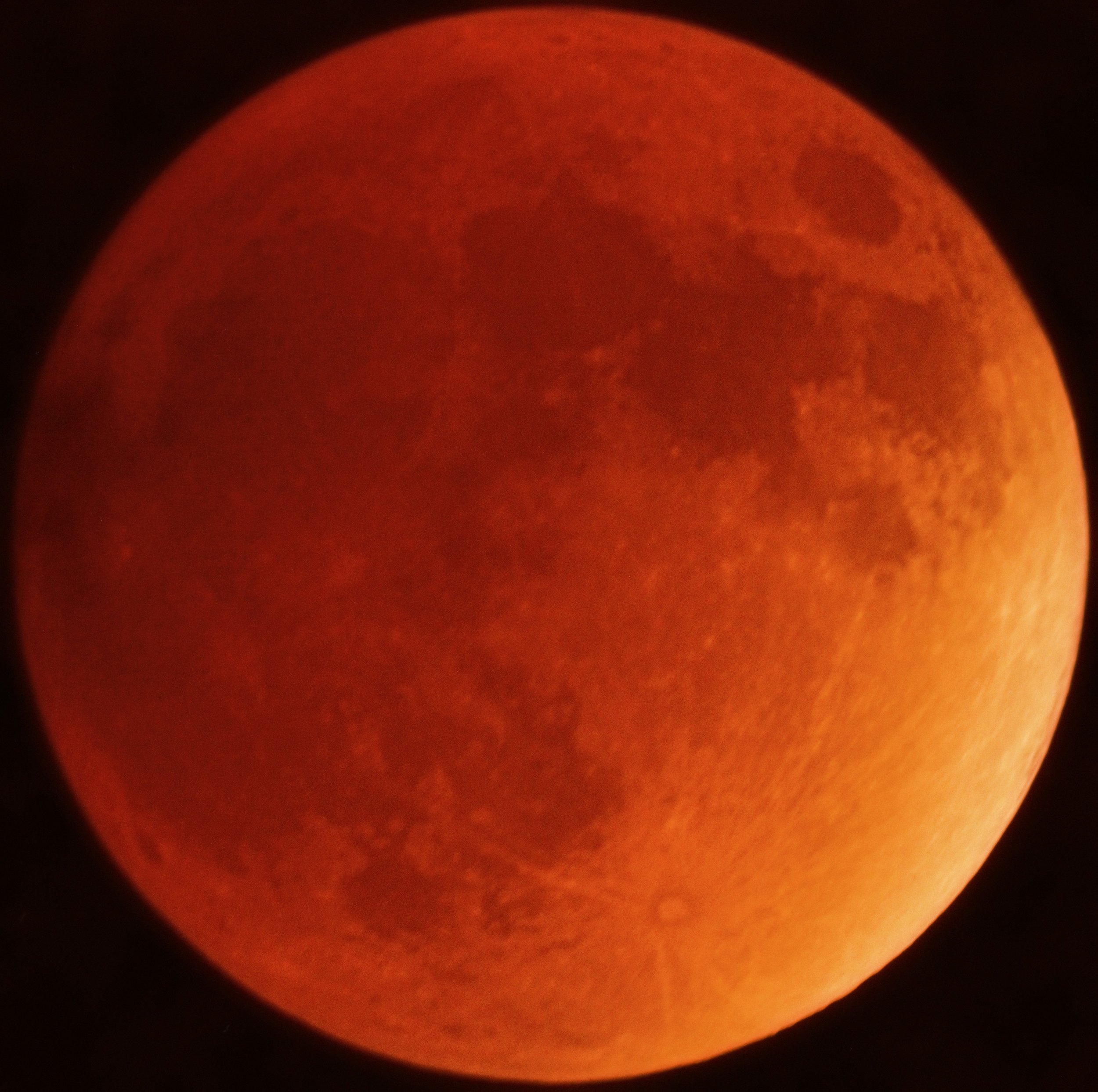 Lunar eclipse on the night of January 31 as seen from Baton Rouge, LA. Photo Credit: Connor Matherne, LSU.