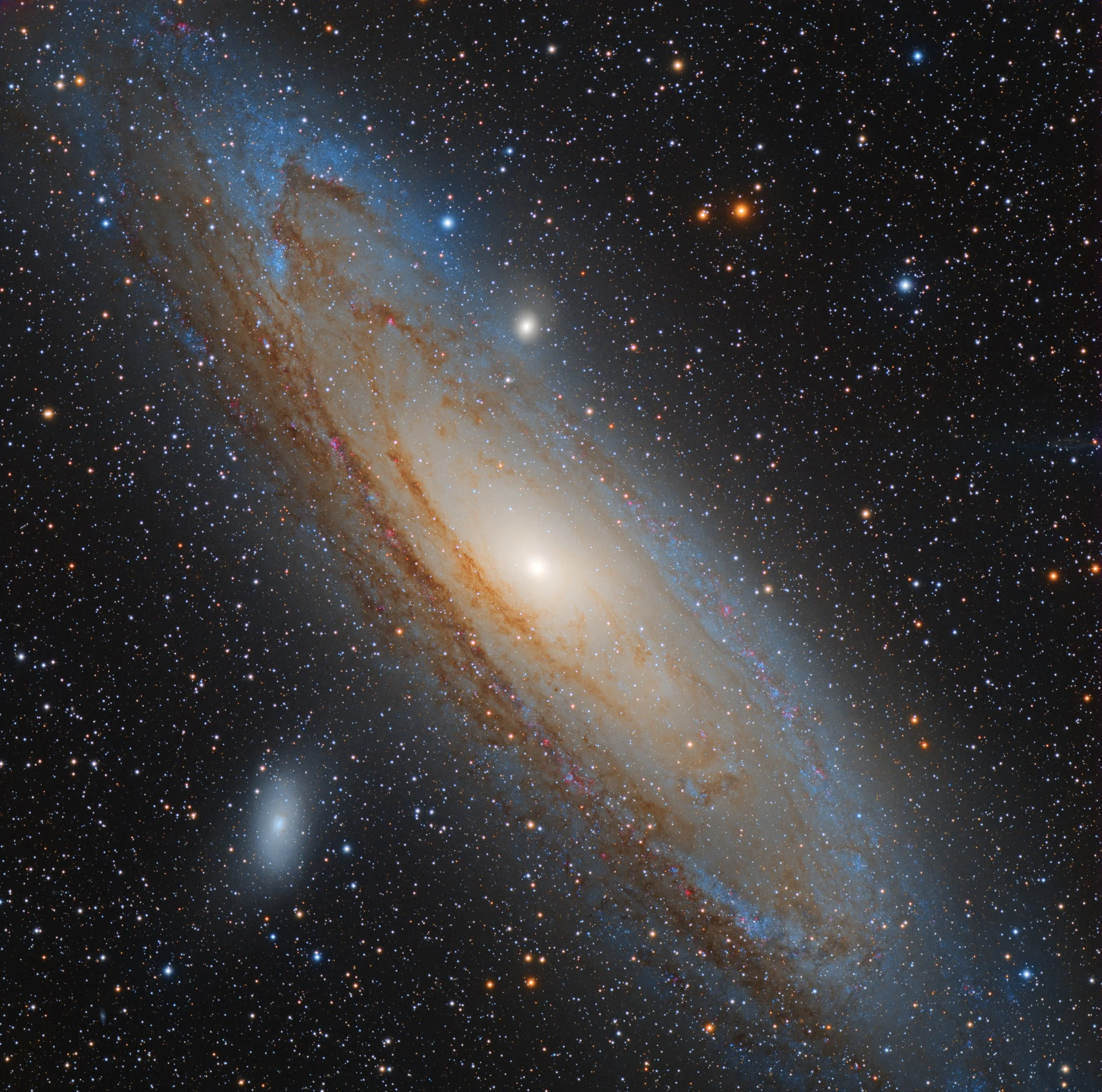 Andromeda Galaxy. Photo Credit: Connor Matherne, LSU.