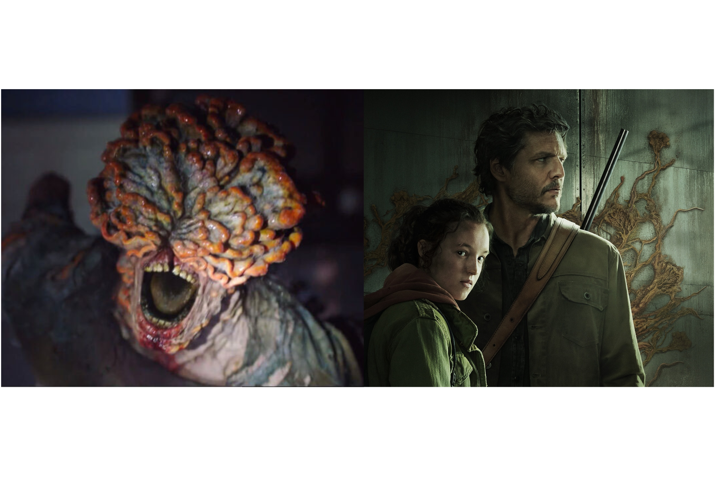 Mushroom Monsters! Creating the Fungus Zombies for The Last of Us