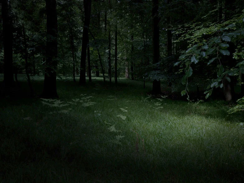 kolowca-deep-forest-I.jpg