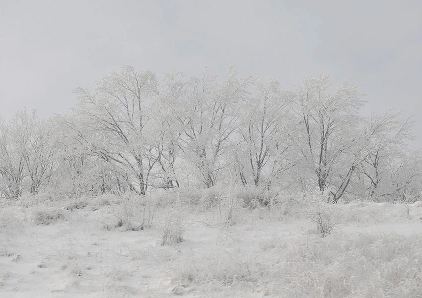 kolowca-winter-I.jpg