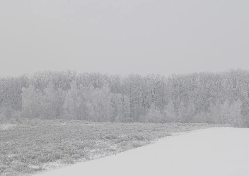 kolowca-winter-VI.jpg