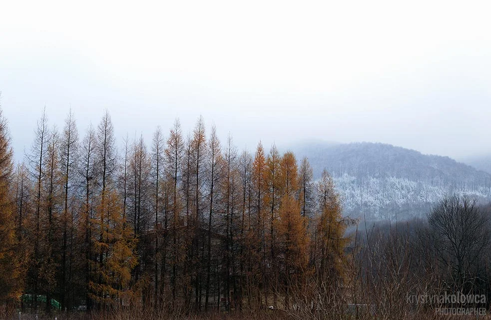 kolowca-bieszczady-wetlina.jpg
