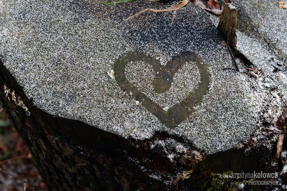 kolowca-bieszczady-winter-heart.jpg