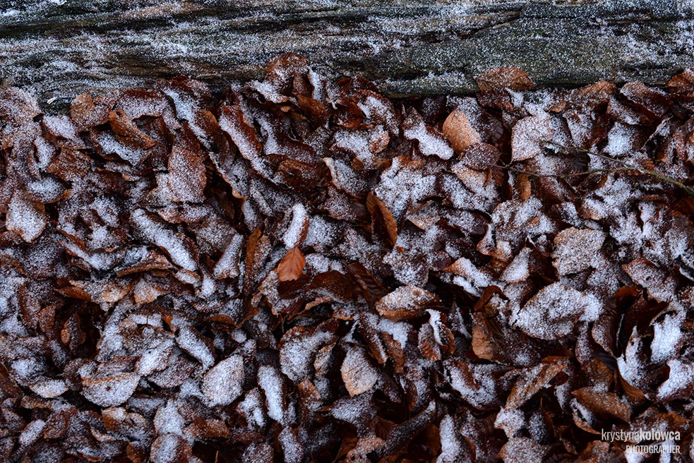 kolowca-bieszczady-winter-Ii.jpg