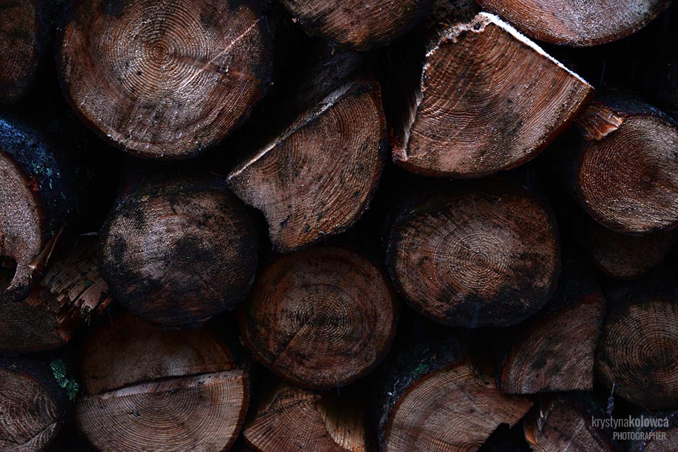 kolowca-bieszczady-wood.jpg
