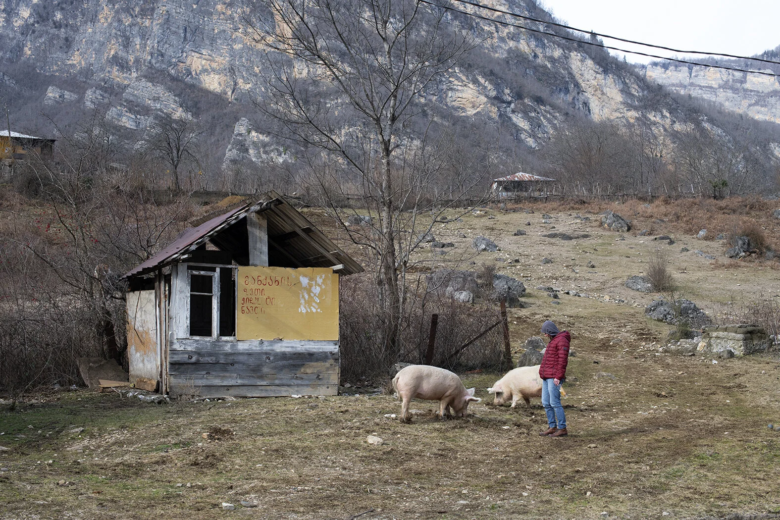 DSC_0822.jpg