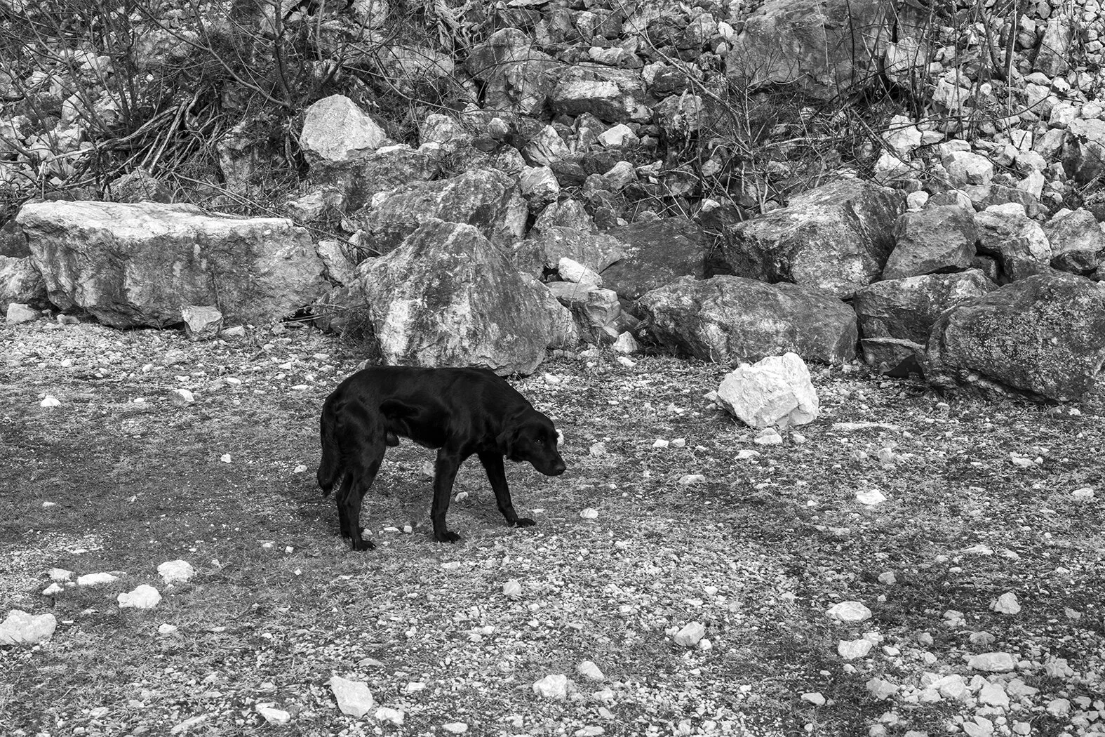 DSC_0843.jpg