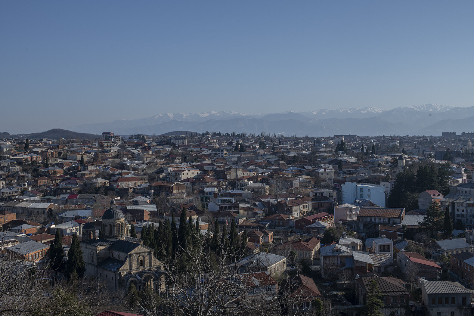 DSC_9583.jpg