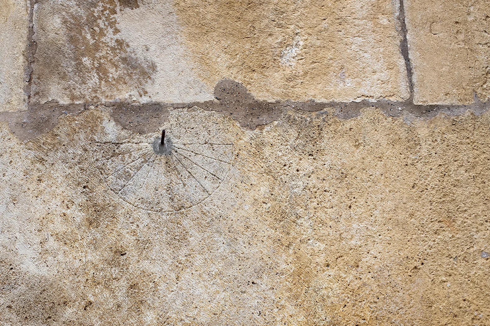 DSC_9749.jpg