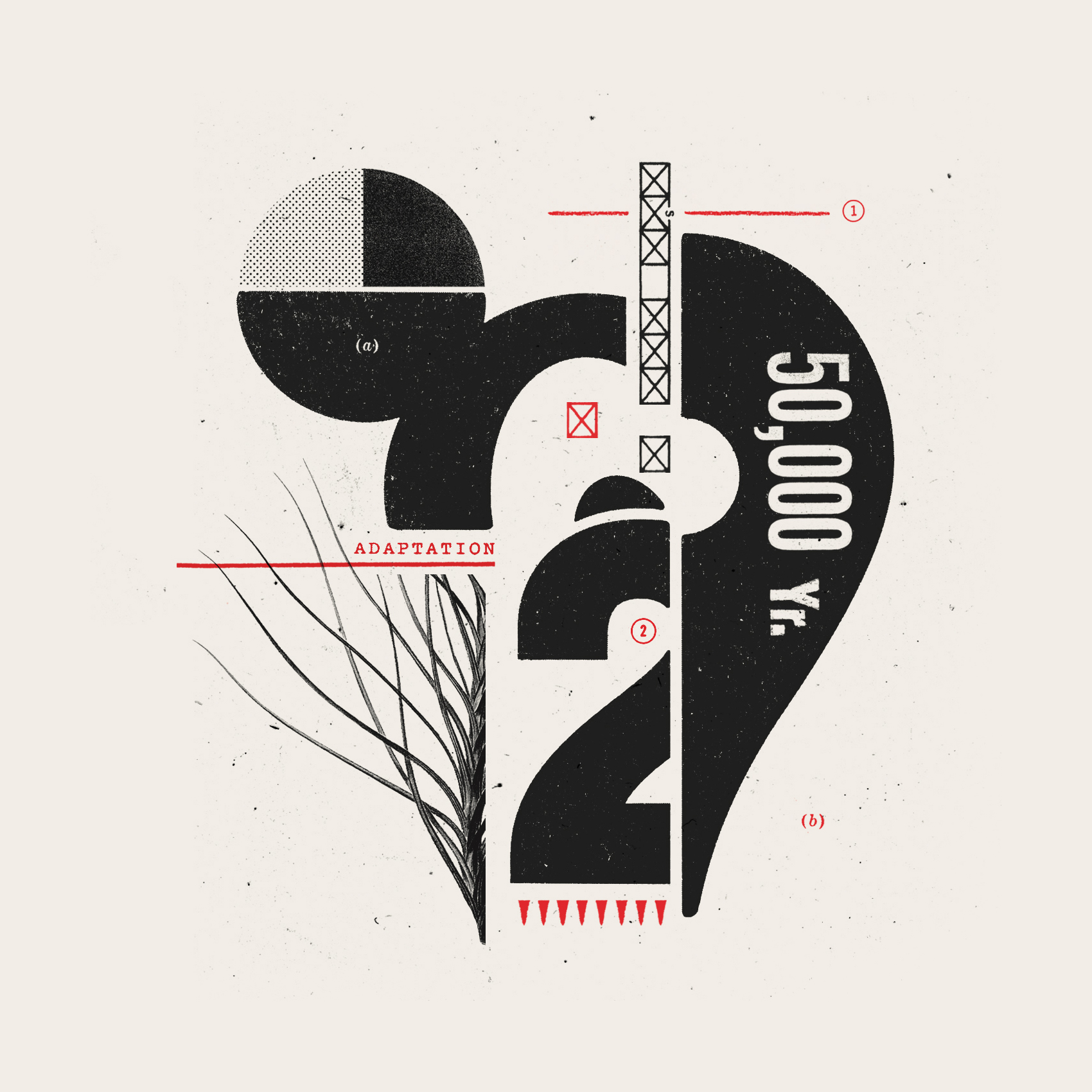 illo-square-numbers.jpg